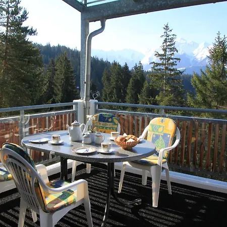 Moutain View Лакс